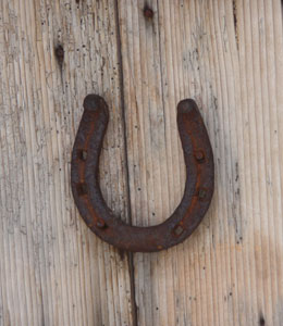 Horseshoe Image