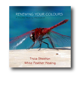 Renewing Your Colours Cover